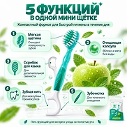 HR MEDICAL QUICK CLEAN 5-IN-1 TOOTHBRUSH APPLE MINT (10ea)