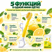 HR MEDICAL QUICK CLEAN 5-IN-1 TOOTHBRUSH LEMON MINT (10ea)